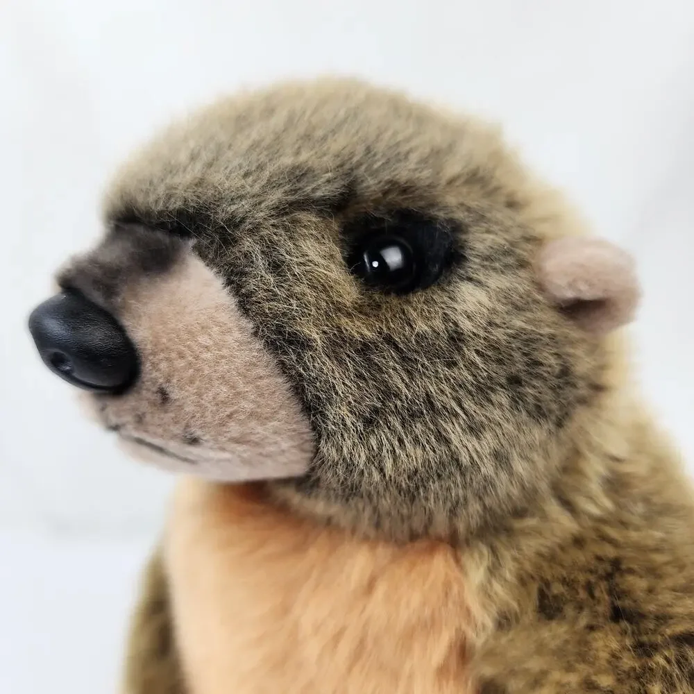 Wildlife Artists Realistic Marmot Groundhog Woodchuck 10